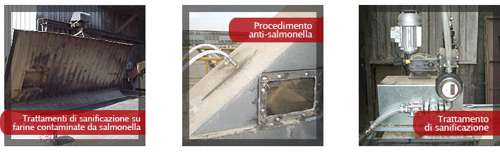 Trattamenti di sanificazione su farine contaminate da salmonella